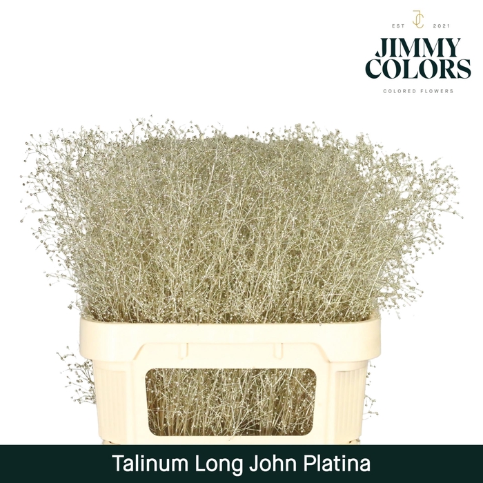 <h4>Talinum Long John L80 Platina</h4>