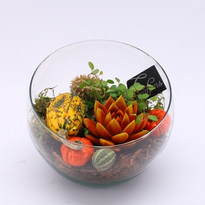 HFCR-2410 Herfst fruit creatie