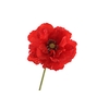 Papaver Double Red