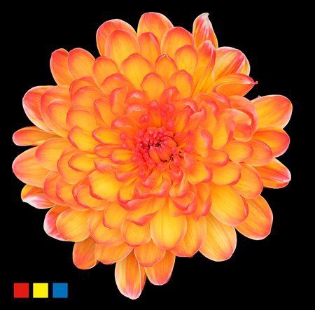 <h4>Chr T Altaj Moonshine</h4>