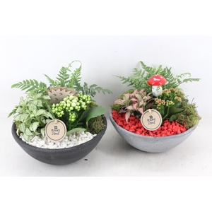 arr2 PL - Ebbi middel - wit/rood