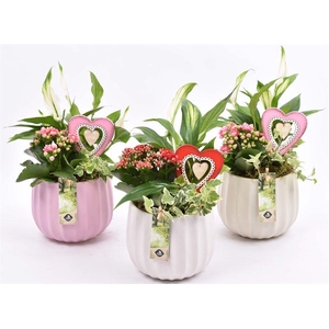 Keramiek pot kleur mix 14cm