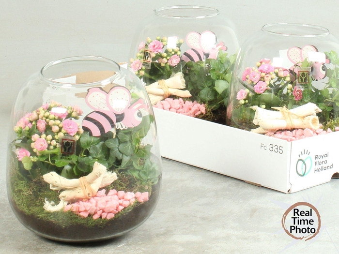 <h4>ARR KAMERPL</h4>