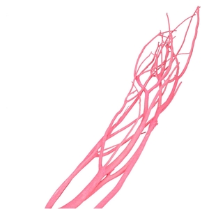 Droogdeco Mitsumata vlok 115cm x3