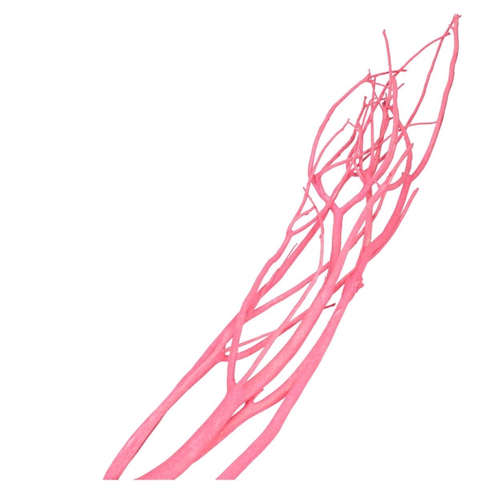 Droogdeco Mitsumata vlok 115cm x3