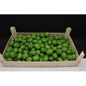 APPELS GROEN X 5KG
