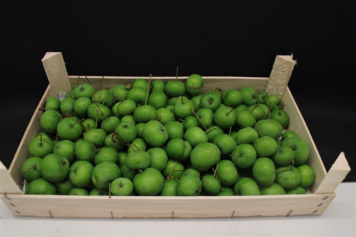 <h4>APPELS GROEN X 5KG</h4>