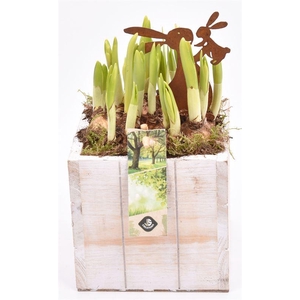 Hout box white wash 12.5x12.5cm