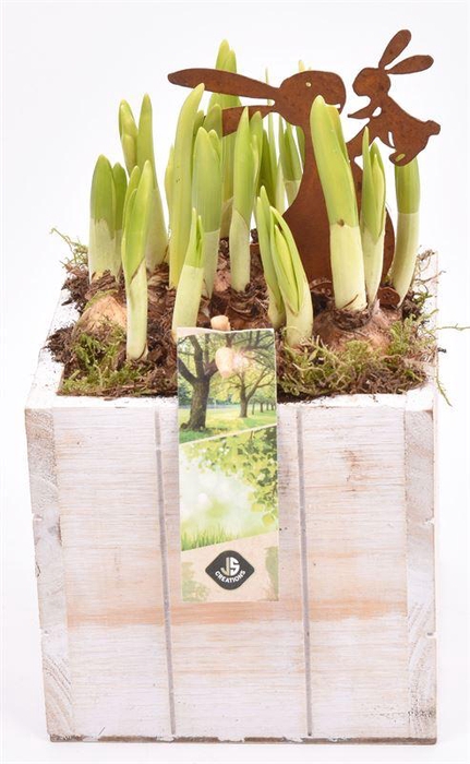 <h4>Hout box white wash 12.5x12.5cm</h4>