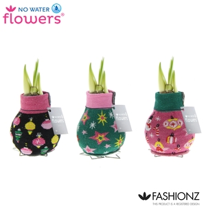 No Water Flowers® Fashionz Patternz Disco