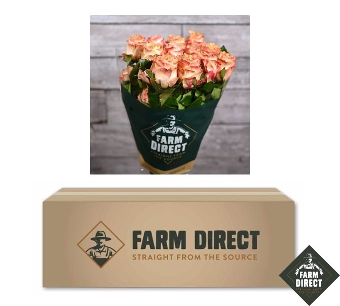 <h4>R GR PRINCESS CROWN (BOX)</h4>