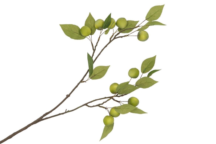 <h4>Silk Apple Plum Claude Green 76cm Nm</h4>