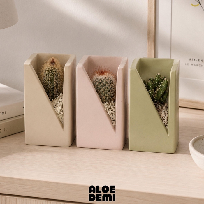 <h4>CACTUS GEM</h4>