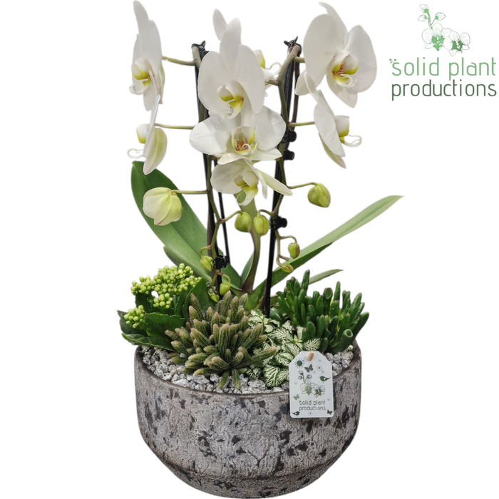 <h4>PH243 Maria Grey Bowl</h4>