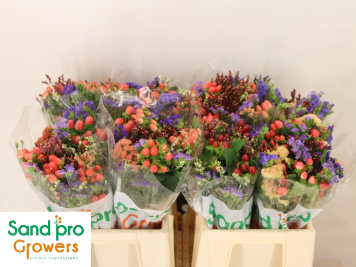 <h4>GEM ZOMERBOEKET</h4>