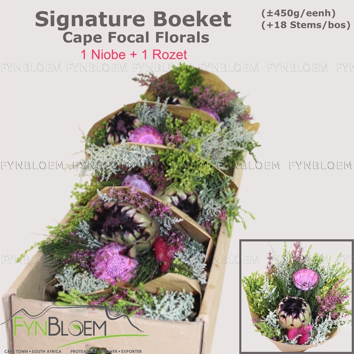 <h4>PROTEA PER BOS</h4>