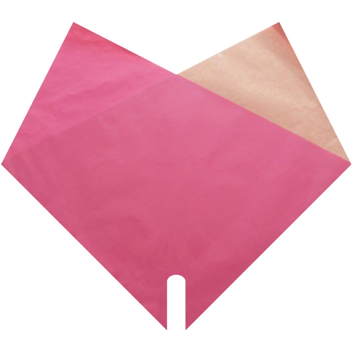 <h4>Hoezen Double Kraft 35*35cm x50</h4>