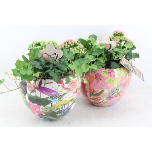 arr2 MB - Ker. flower bolpot mix 344/4