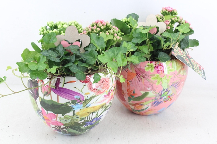 <h4>arr2 MB - Ker. flower bolpot mix 344/4</h4>