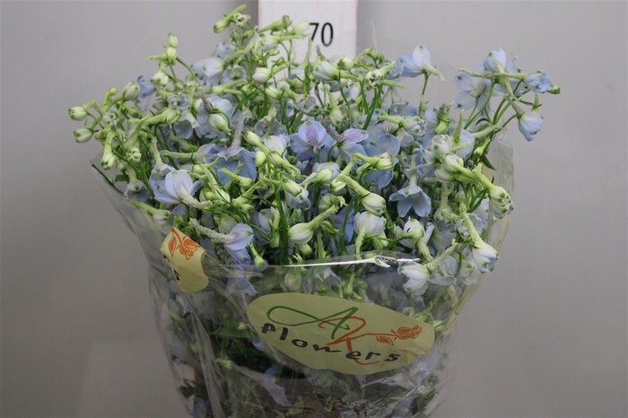 <h4>Delph En Ballkleid</h4>