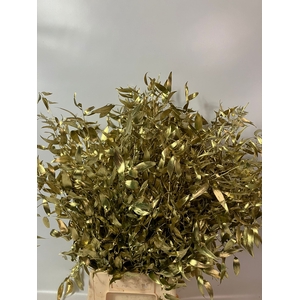 Ruscus Italie P Painted Gold