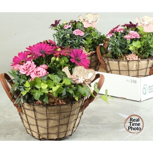ARR TUINPLANTEN