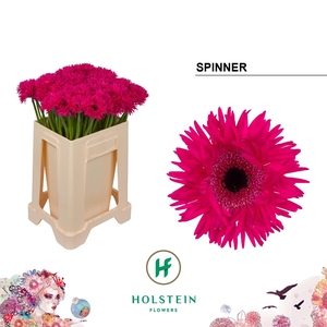 GE MS GERSP SPINNER