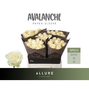 R GR AVALANCHE+ ALLURE Allure Specials