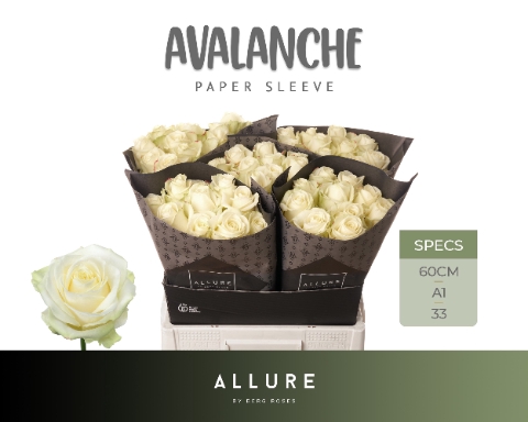 <h4>R GR AVALANCHE+ ALLURE Allure Specials</h4>