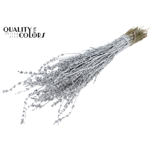 Lavendel per bunch Silver