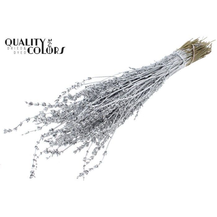 <h4>Lavendel per bunch Silver</h4>