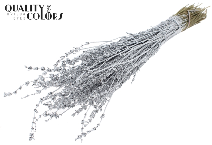 Lavendel per bunch Silver