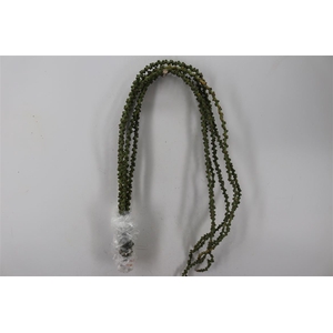 Caryota String