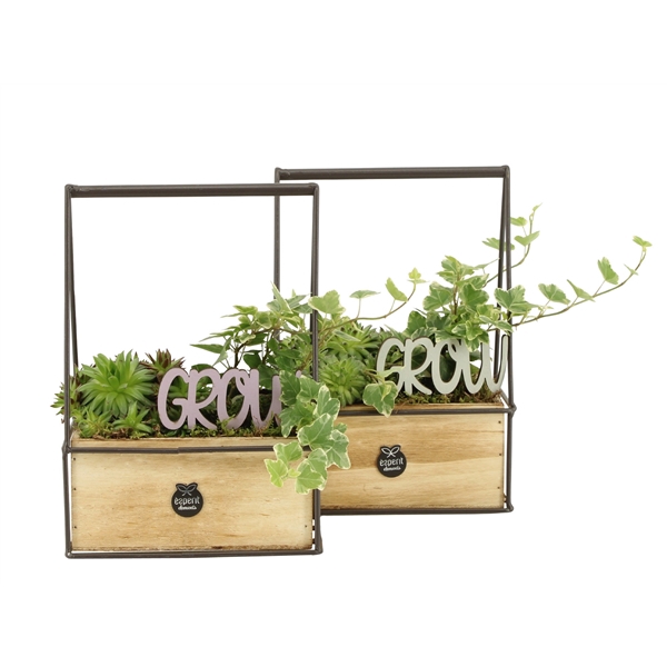 <h4>31658: Outdoor summer arrangement</h4>