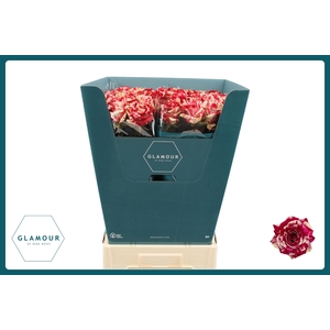 R GR HARLEQUIN GLAMOUR