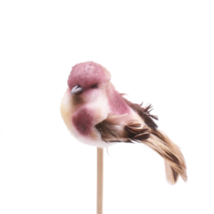 <h4>Sticks 50cm Bird Tommy 11cm</h4>