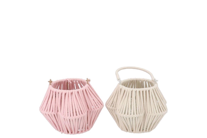 <h4>Cruz Pink White Lantern Flower Ass 10x16x11cm</h4>