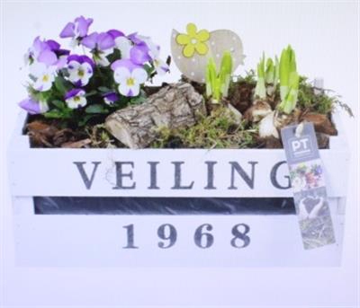 <h4>2063 VIOOL VEILINGKIST</h4>