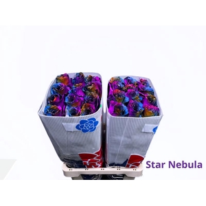R GR STARRY NEBULA