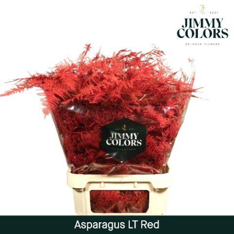 <h4>Aspa lang getopt Red</h4>