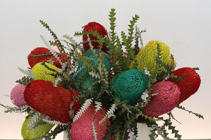 <h4>Banksia Spec. Mixed Colours</h4>