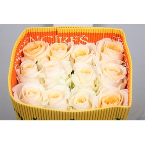 R Gr Creme De La Creme Ec