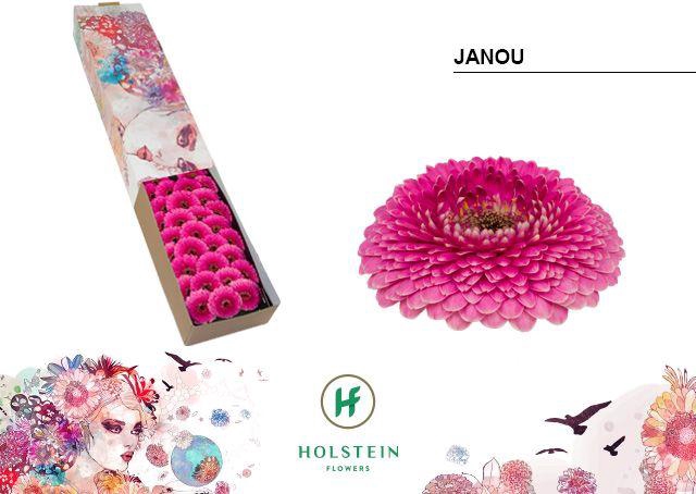 <h4>GE MB GERPONI JANOU</h4>