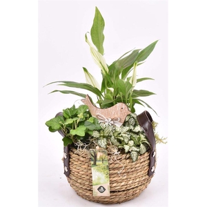 Touwmand met leer handv.16-18cm