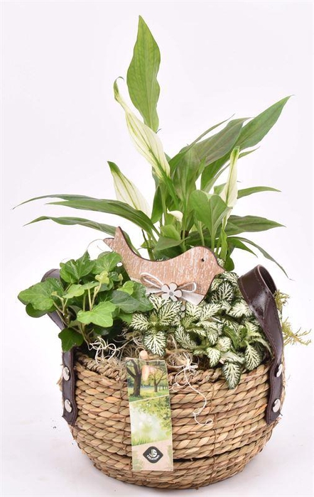 <h4>Touwmand met leer handv.16-18cm</h4>