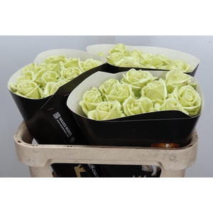 Wax-Rozen Wax Wit  Zilver glitter