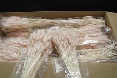 <h4>Lagurus Pesca X15</h4>