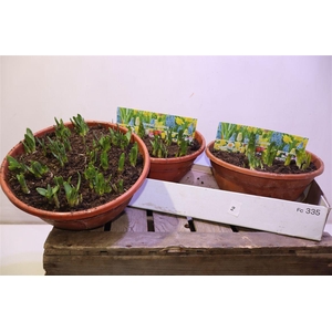 arr8 Narc O Tete A Tete