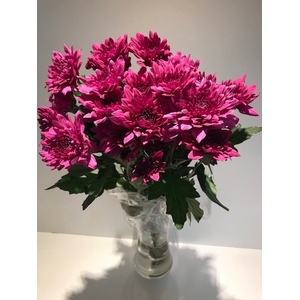 Chr Spray Purple Malibu Purple