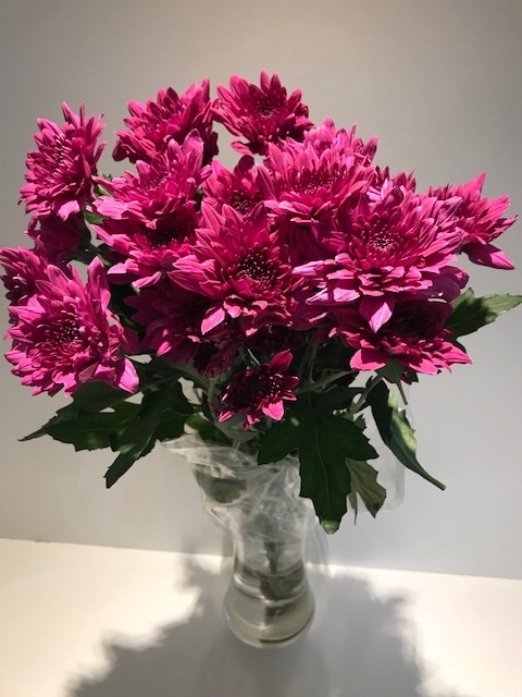 Chr Spray Purple Malibu Purple